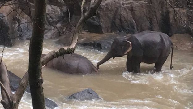 KHAO YAI NATIONAL PARK