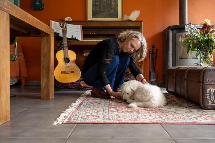 Rugs make your home cozier and warmer --especially if you live on the basement floor. 